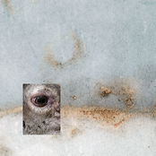 Baldruin - Schatten & Lichter (cae-sur-a, 2011)