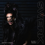 SWERK (feat. SLIM Z) [Remix] - Single