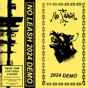 2024 DEMO