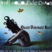 ThEhOmOgEnIcChAoS: "Underwater Cheated Lovehearts"(Smoke City vs. Yeah Yeah Yeahs vs. Asian Dub Foundation vs. ThEhOmOgEnIcChAoS)