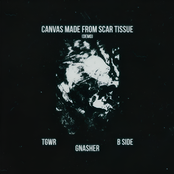 Canvas Made From Scar Tissue (Demo)