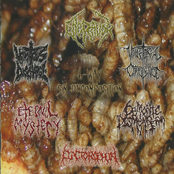 6-Way Sin Decomposition (Split)