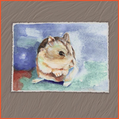 sä + mä & mä + sä