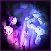 Wonder & Under Ground