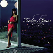 No More Tears by Teedra Moses