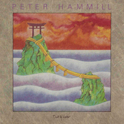 Evidently Goldfish by Peter Hammill