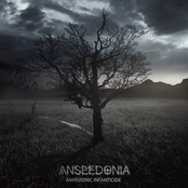 anseedonia