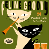 Feline Groovy