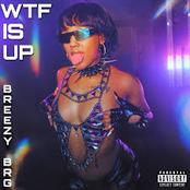 WTF Is Up!