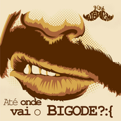 Até onde vai o bigode?