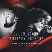 I Wanna Dance With Somebody (Who Loves Me) - Single