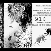 Scud tape