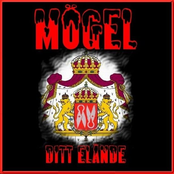 Brand by Mögel