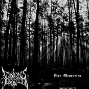 Dire Memories 2010-2013
