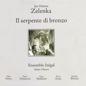 ZELENKA: Il serpente di bronzo