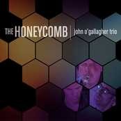 John O'gallagher Trio. The Honeycomb