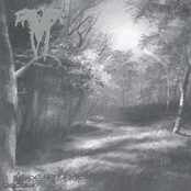 Церемония времен - Rex Noctis