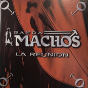 Banda Machos: La Reunion