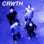 Crwth