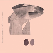 El sueño de las ballenas