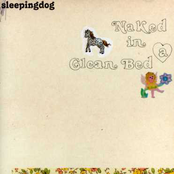 Sleeping Dog: Naked in a clean bed