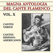 magna antología del cante flamenco