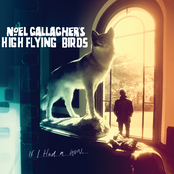 I'd Pick You Every Time by Noel Gallagher's High Flying Birds