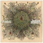 Axolotl / Indian Summer