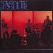 grasshopers