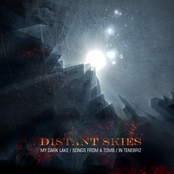 Distant Skies