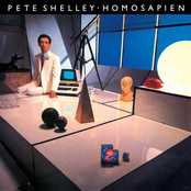 Homosapien by Pete Shelley