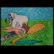 Jag hatar naturen (diverse udda material)