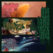 Air, Land & Sea (Speciesnoise War Split)