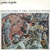 Graceland And The Natural Wood