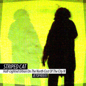 Half Lighted Urban On The North Cost Of The City