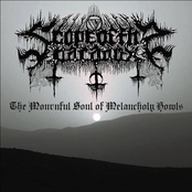 The Mournful Soul of Melancholy Howls