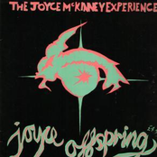 joyce mckinney experience