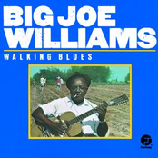 Pallet On The Floor by Big Joe Williams