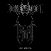 The Ulcer