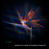 Rising to a Level of Blissful Stability