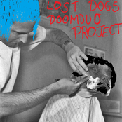 lost dogs doomduo project