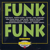 Funk Funk: The Best of Funk Essentials, Vol. 2