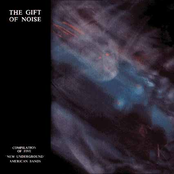 The Gift Of Noise