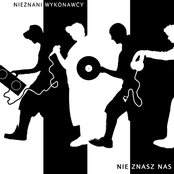 nieznani wykonawcy