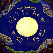 Night Tribe