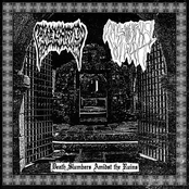 Death Slumbers Amidst the Ruins