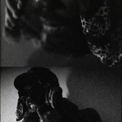 two nights in vegas pack