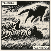 Tristura