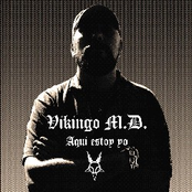 Vikingo M.d.