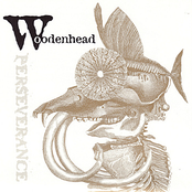 Woodenhead: Perseverance